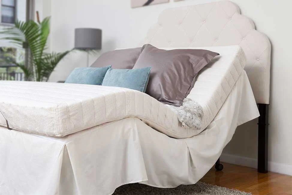 Transfer Master Companion Adjustable Bed for Home with Weight Capacity - Image 5